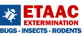 Gnat Pest Control | Kill Gnats